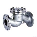 Flange Ends Connection H44W-16P Stainless Steel 304 Swing Check Valves for