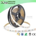 020smd Side Emitting 12v 24v RGB emitted from side 60leds 020 side view Led