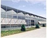 New Style Powder Coated , Anodized Aluminium Greenhouse Profiles In Mi