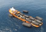 BV CCS DNV Approved STS Project Pneumatic Rubber Fenders 3.3*6.5