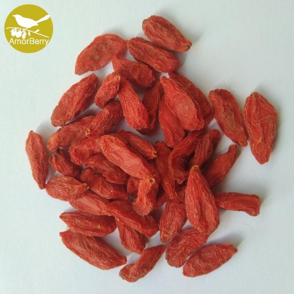 Himalayan Goji Berry new crop Certified High Quality Lower price Dried Organic