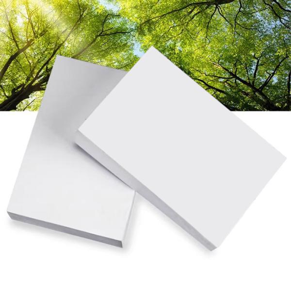 Professional 3R Photo Paper With 180-260GSM Dye / Pigment Based Ink Compatibilit