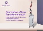 1064nm / 532nm Wavelength Laser Tattoo Removal Equipment ODM OEM Logo Design