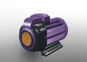 Quality Frequency Conversion IP54 Permanent Magnet Intelligent Motor wholesale