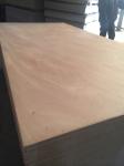 Mexico market sapele plywood high quality