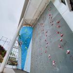 5-10 Passenger Indoor Outdoor Bouldering Rock Climbing Walls For Adults