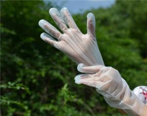 Quality 1.3g Plastic 100pcs Disposable Cleaning Gloves Food Grade wholesale