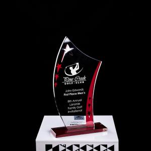 Quality Encourage Souvenir Plastic Crystal Trophy Cup With Laser Engraving wholesale