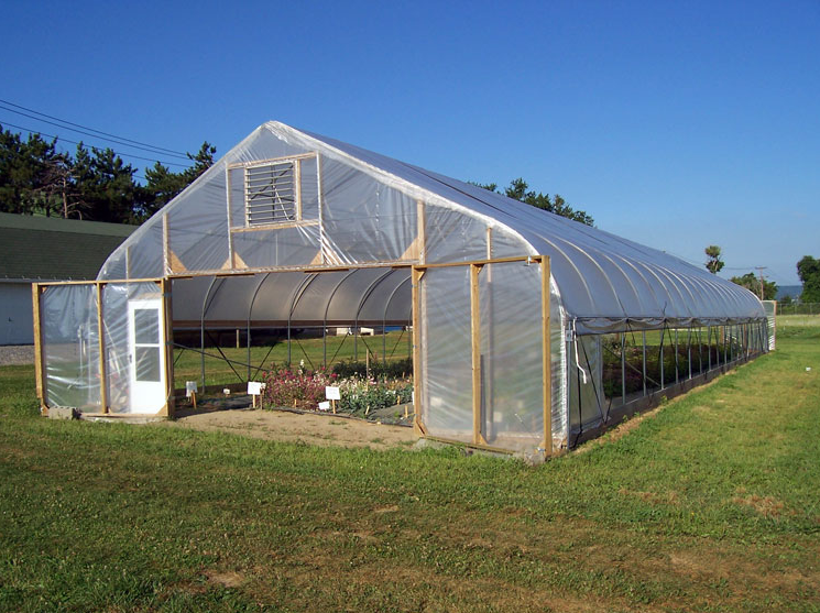 Customizable Size High Tunnel Agricultural Single-span Plastic Film Greenhouse for Vrgetable