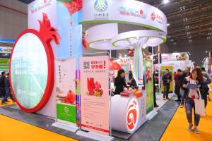 Quality Fruits Dealers Garthering and Traders First Choice for Chinses Market Development wholesale