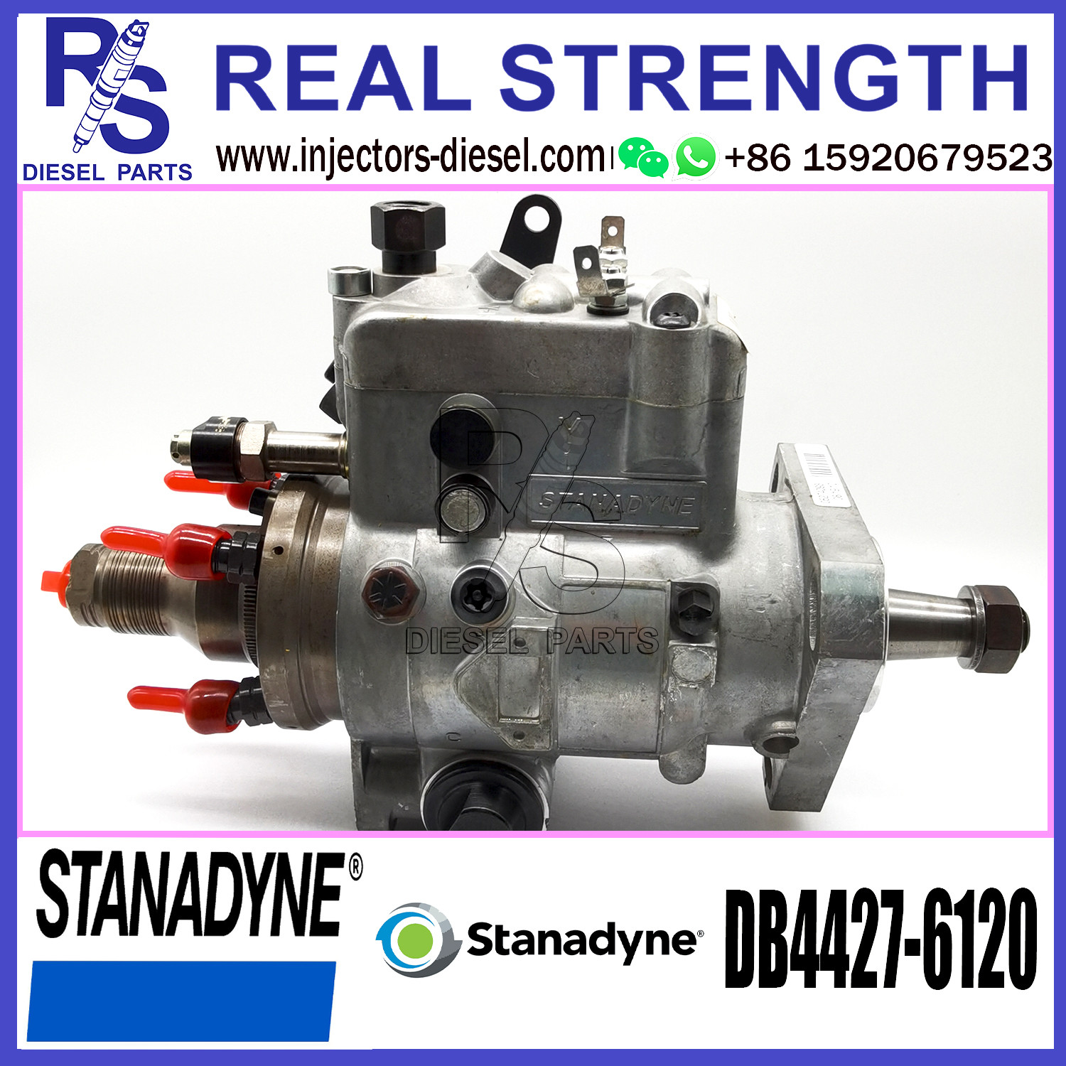Stanadyne Diesel Fuel injector Pump DB4427-6120 DB4427-5481 for Diesel Engine