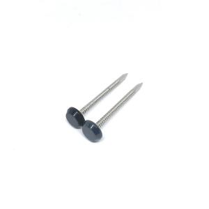 Quality A4 Stainless Steel Ring Shank Plastic Head Nails Black Anthracite Grey 50MM wholesale