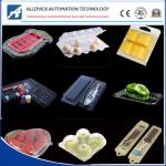 Blister Fast Food Disposable Plastic Containers Fruit Box Pet Plastic Fruit