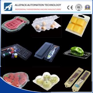 Quality Blister Fast Food Disposable Plastic Containers Fruit Box Pet Plastic Fruit Packaging wholesale