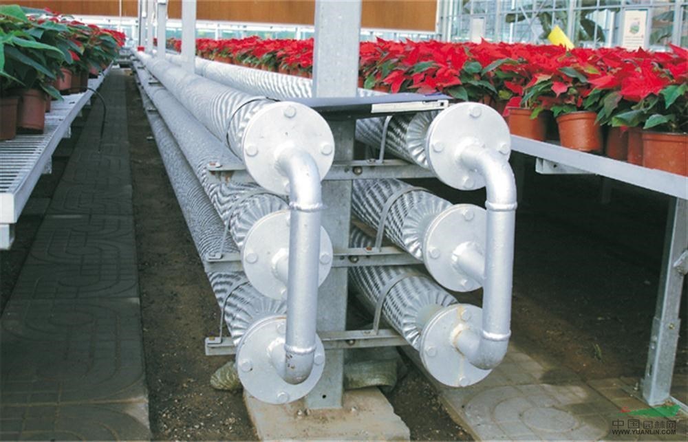 Customization Snow Vibrator Greenhouse for Tomato Planting