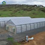 Commercial Film Curtain Fabric Blackout Greenhouse For Sensitive Plants