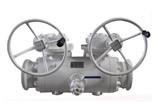 DBB Valves