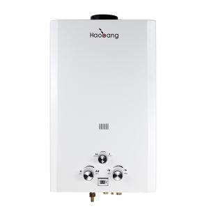Quality LPG NG Instant Gas Water Heater White Powder Painting Panel 10L wholesale