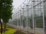 Exquisite Aluminum Frame Glass Greenhouse Gutter Height 3.0m-6.0m Easy Assemble