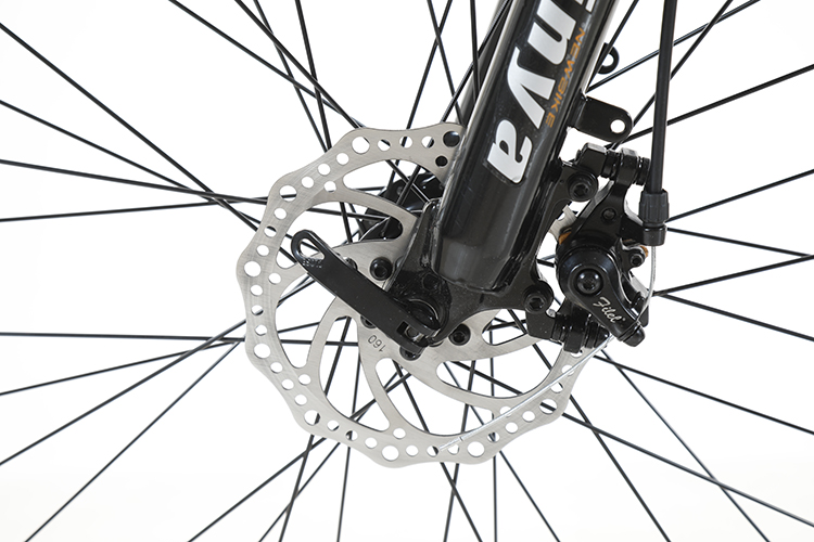 Customized 6 Speed Lithium Battery Electric Mountain Bike for Off-Road Adventures