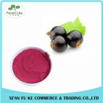 100% Natural Black Currant Fruit Powder