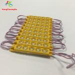 Waterproof 12V Single Color LED Module