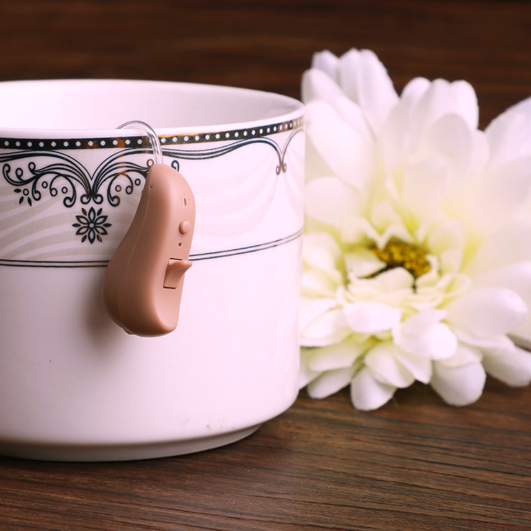 Waterproof Digital Hearing Amplifier Price / OEM Supported Ear Hearing Aid