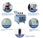 S11 Series 30kVA Three-Phase Double-Winding Oil-Immersed Distribution Transforme