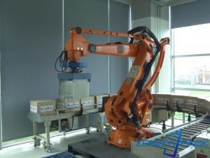 China Lay Cartons Plastic Robot Palletizer Machine Fully Automatic Metal on sale