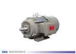 Water Proof Special Electric Motors Three Phase Induction Vertical Hollow Shaft