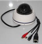Mini Dome IP Camera with 180 Degree Fisheye Lens