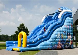 Quality Colorful Inflatable Slide Rental Lovely Carton Bouncer Slide For Sale wholesale