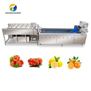 Quality SS 380V Industrial Vegetable And Fruit Washing Machine wholesale