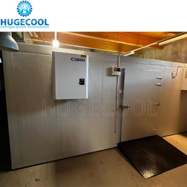 220V/380V/440V Walk-in Freezer Cold Storage Room For Meat And Fruit In