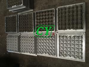Quality Die Casting Paper Pulp Mold 30 Cavity Paper Pulp Moulded Trays wholesale