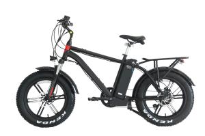 Quality 20&quot; High Speed Ebike , Delivery Electric Bike 45kms Duration wholesale