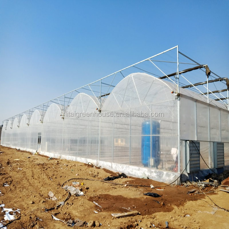 Food Grade PVC Planting Trough for Large-Scale Hydroponic Greenhouse Growing System