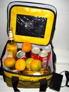 Quality high quality multi-function solar cooler bag 4w wholesale