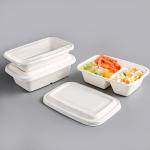 Disposable Sugarcane Takeaway to Go Lunch Box Food Containers for Restaurants