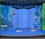 Automotive Sliding LED Screen Outdoor Curved Led Video Wall