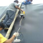 Fish Pond Shrimp Pond Dock Engineering Reservoir Geomembrana Waterproof Membrane