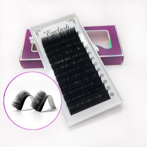 Quality Synthetic Hair Individual Russian Volume Eyelash Extensions Customize Logo wholesale