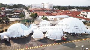 Quality White Geodesic Wedding Dome Tent 30m Dia With PVC Curtains Door wholesale
