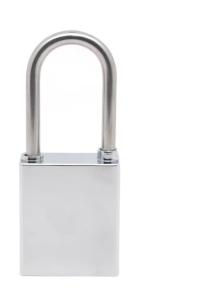 Quality Security Silver Stainless Steel Padlock in Heavy Duty Design wholesale