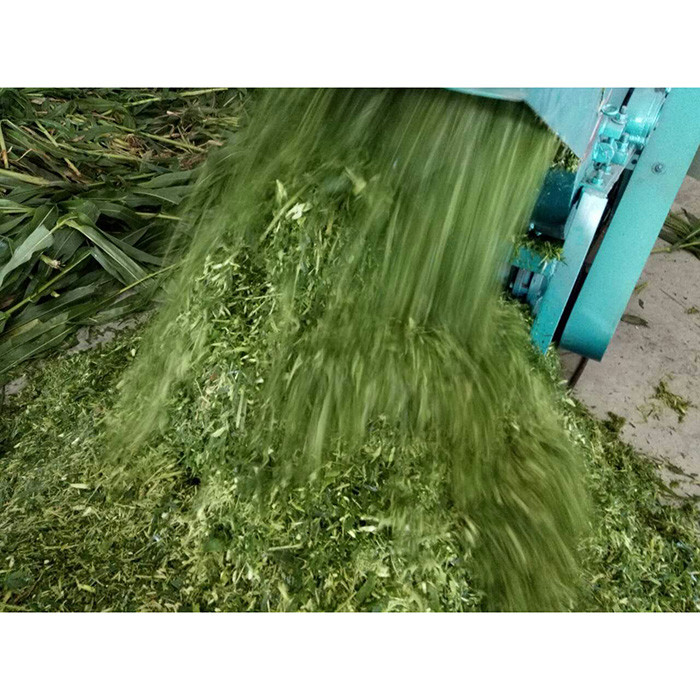 Diesel 22hp Silage Chopping Machine , 46pcs Blade Fodder Cutting Machine