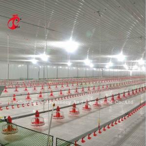 Quality Stainless Steel Floor Type Poultry Farm Equipment Automatic Feeding And Drinking System Adela wholesale