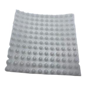Quality CE/ISO9001 ISO14001 Certified Supply Plastic Drainage Board for Railway Drainage wholesale
