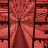Buy cheap Juxiang OEM Living Vegetable Hydroponic Culture System with 40ft Container from wholesalers