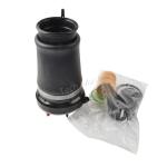 37116757501 37116757502 BMW X5 E53 Air Suspension Replacement Front 2010-2016