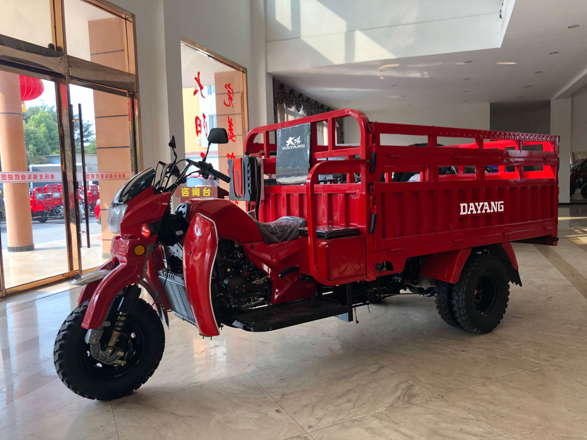 High Cost Performance 250cc DAYANG Cargo Motorized Trike with 800W Power and 9A Battery